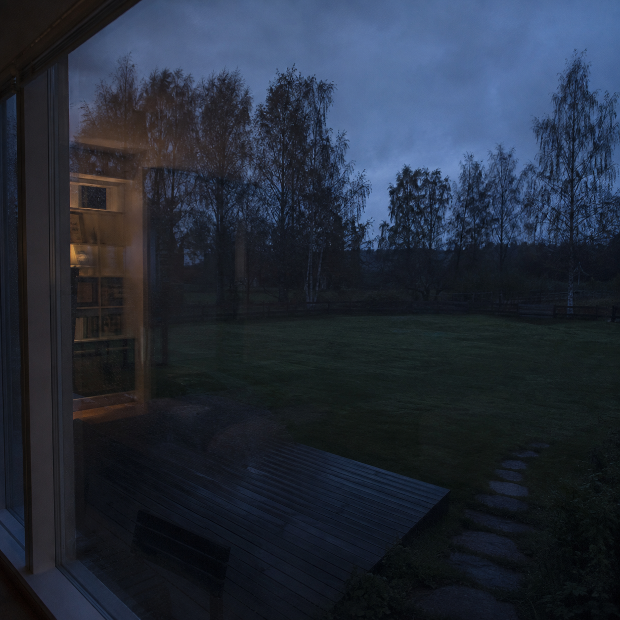 Mörk trädgård sedd genom ett fönster i skymningen